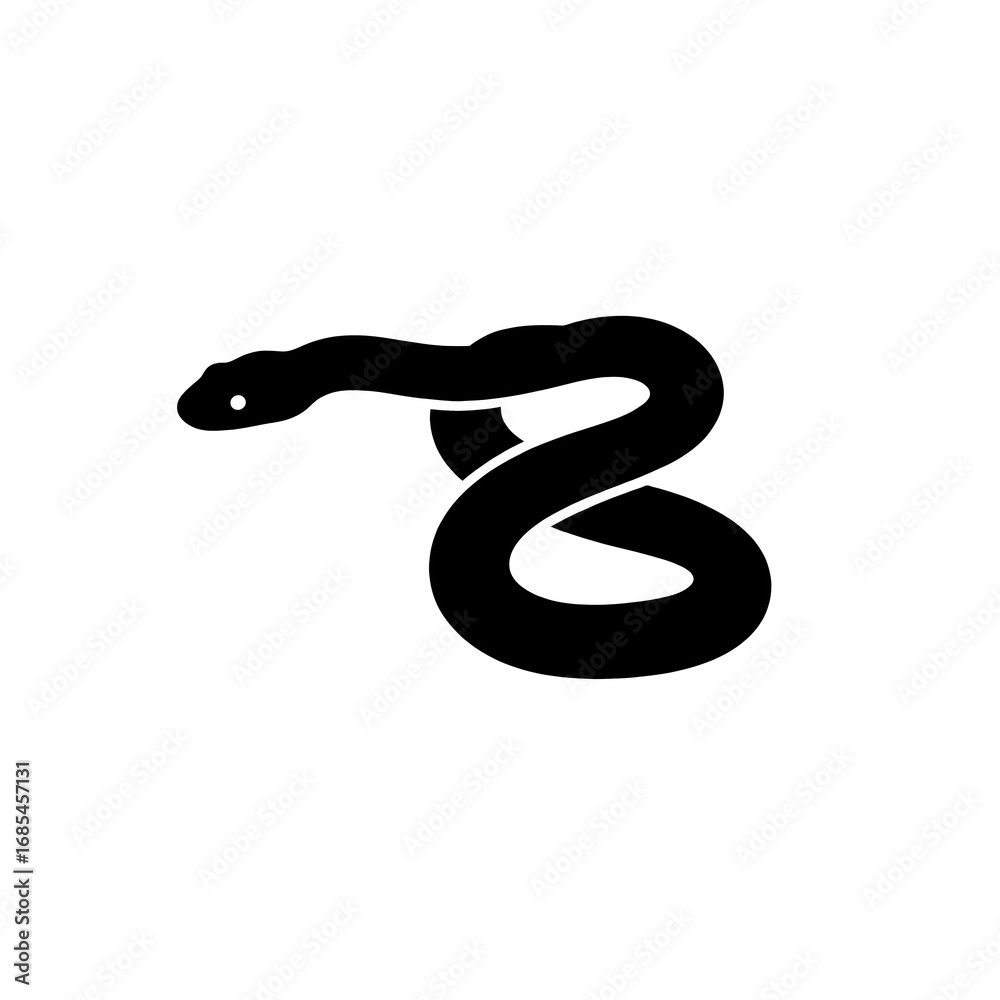 Fototapeta premium black and white snake