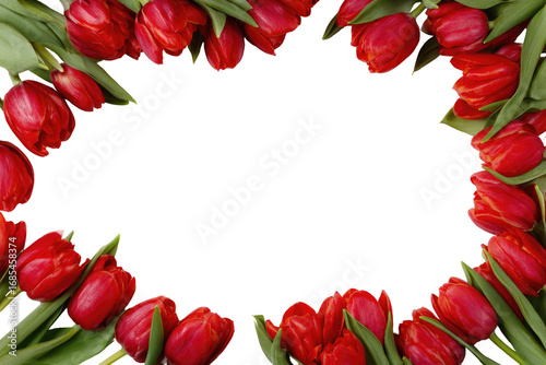 Red tulips arranged in a frame, creating a border around a black background