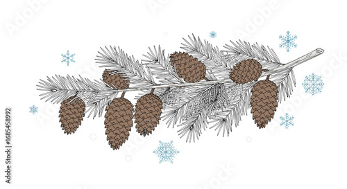 Winter pinecone branch snowflakes festive nature seasonal cold weather decorative element