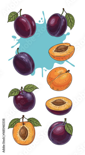 Delicious fresh plums and sliced apricots with green leaves and blue splash illustration