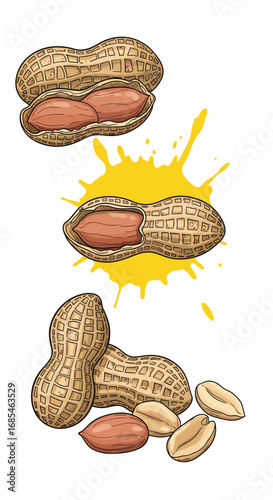 A collection of healthy natural peanuts with shells and kernels ready for snacking