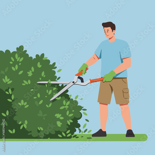 Man wearing shorts and gloves uses large shears to trim a lush green hedge outdoors