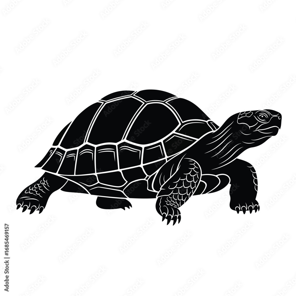 Fototapeta premium Black and white illustration of a turtle walking on a plain background