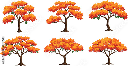 Autumn deciduous trees illustration, fall foliage vector, seasonal nature design, orange red yellow leaves, botanical landscape art, isolated white background, decorative tree set