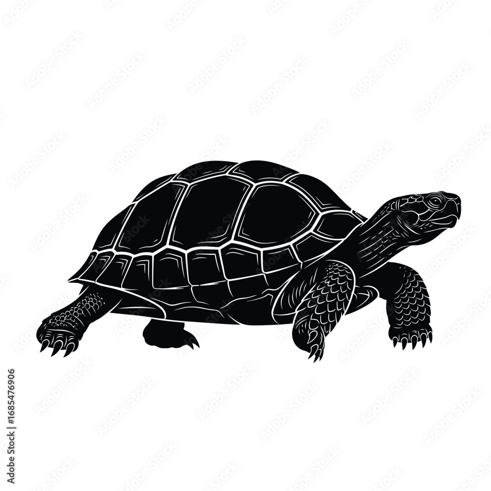 Fototapeta premium Black and white illustration of a turtle on a plain background