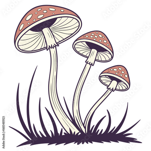 vector illustration of mushrooms