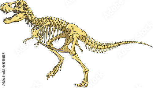 Tyrannosaurus Rex dinosaur skeleton fossil illustration, prehistoric bones, paleontology science, archaeology museum display, ancient fossil remains, Jurassic era