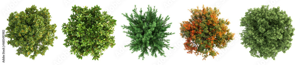 Fototapeta premium PNG Lush vibrant assorted foliage clusters, element set on transparent background