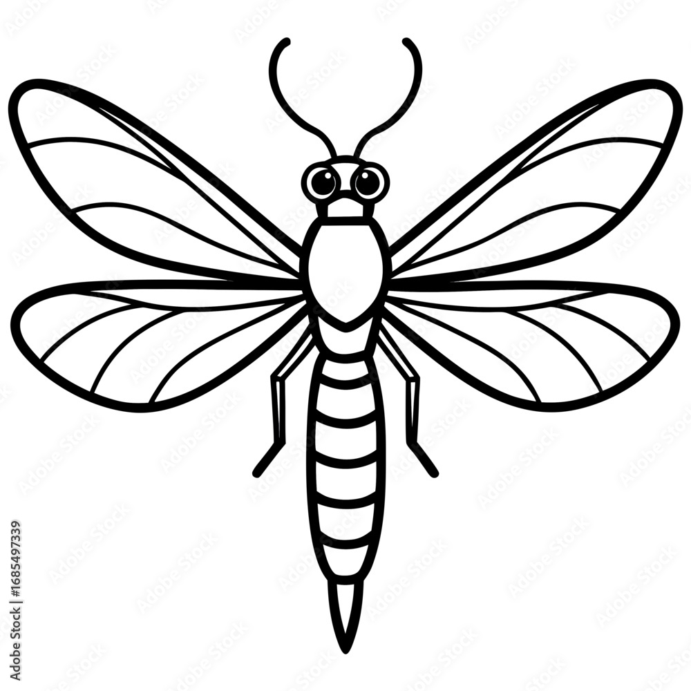 Obraz premium Dragonfly Wings Outlined Vector