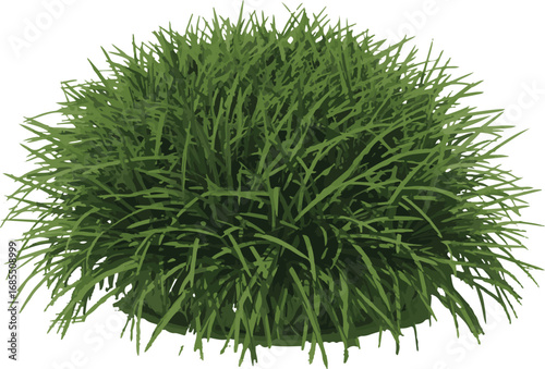 Green Grass Bush Illustration for Natural Landscaping and Garden Design Elements