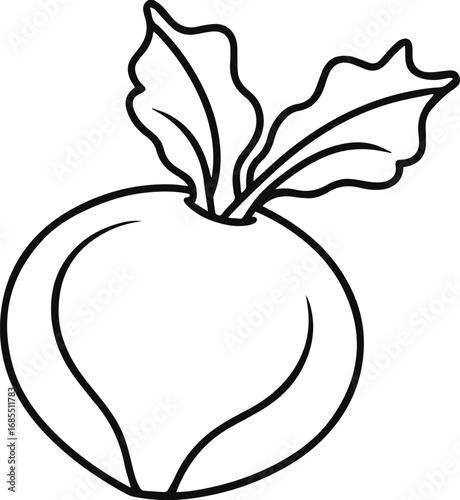 kohlrabi vegetable outline vector illustration line art