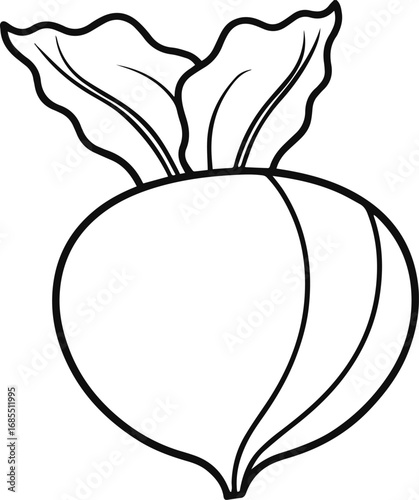 kohlrabi vegetable outline vector illustration line art