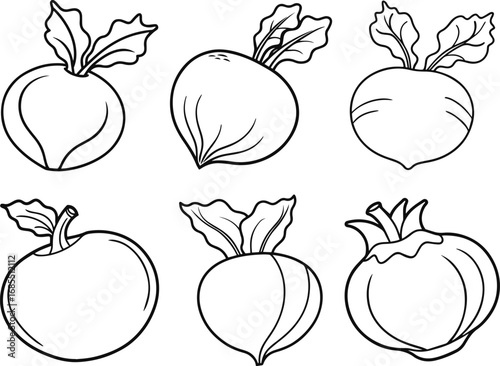 Set of kohlrabi vegetable outline vector illustration line art