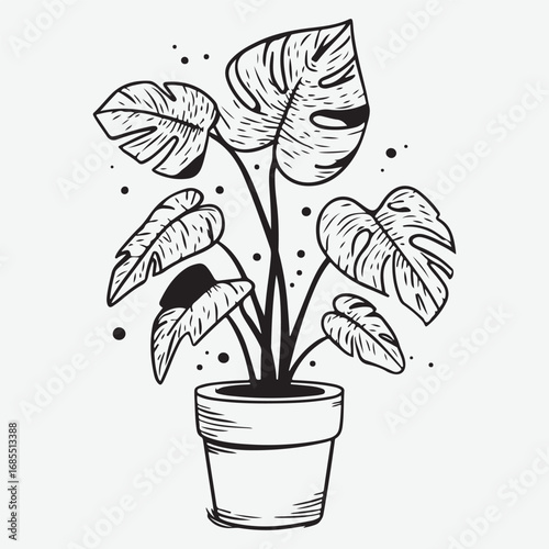 Monstera Plant Simple Design Element Silhouette Graphic, Monstera Plant Minimalist Icon Symbol Vintage Retro Graphic Icon Symbol Isolated Vector Art Design