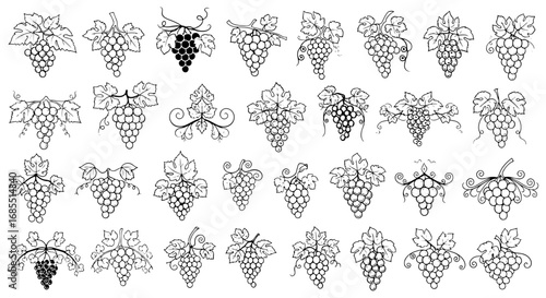 Vector art of set of grape bunches with leaves in vintage style hand drawn vector illustration
