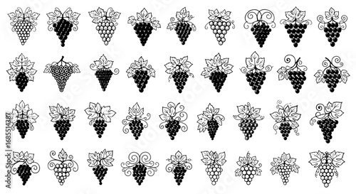 Vector art of collection of grape bunches with leaves in black silhouette vector illustration