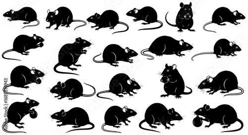 Vector art of a collection of twentyone black rat silhouettes, showcasing various poses and actions of the rodents