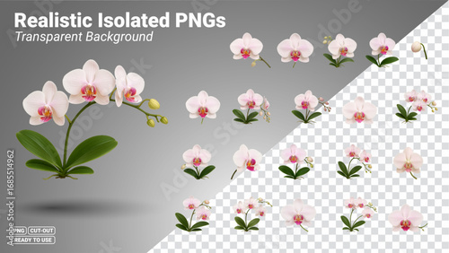 21 Orchid Flowers Cut-Out Collection.  Transparent PNG file ready to be used.