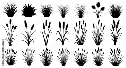 Vector art of collection of cattail and reed silhouette vector illustrations