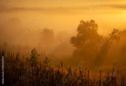 Fototapeta Naklejka Na Ścianę i Meble -  Wrześniowy, mglisty poranek w Beskidach. Wschód słońca. Cieszyn, Polska.