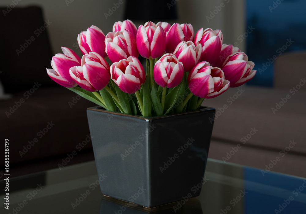 Obraz premium Vibrant pink and white tulips arranged in a square black vase, displayed on a reflective surface indoors.