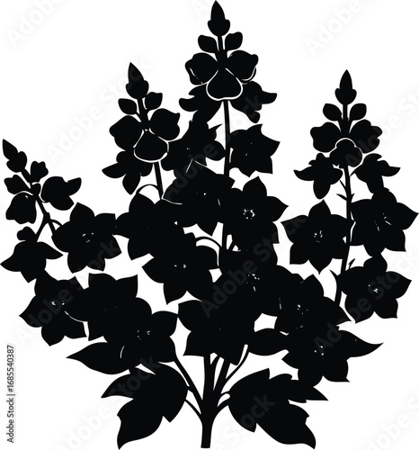 Delphinium Cluster Silhouette | Delphinium Flower Vector Art
