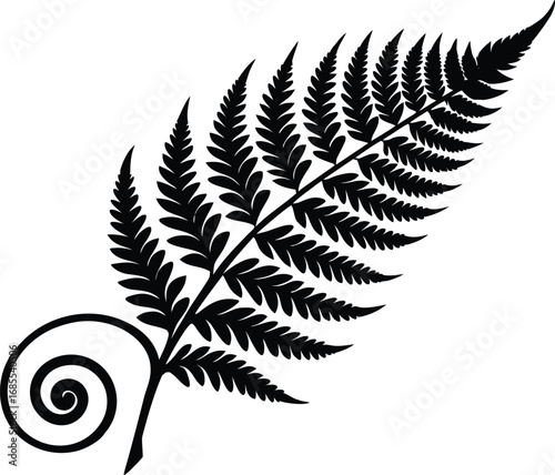 Fern Frond Swirl Silhouette | Fern Leaf Spiral Vector