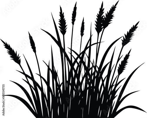 Prairie Grass Silhouette | Prairie Plant Vector Art