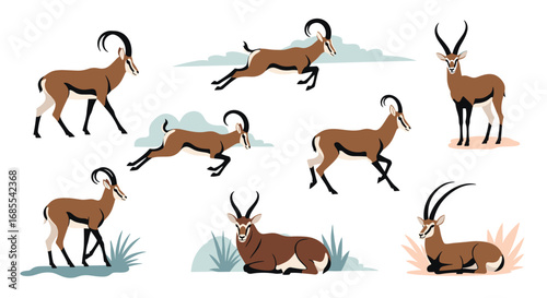 Collection of antelopes in various poses on natural backgrounds