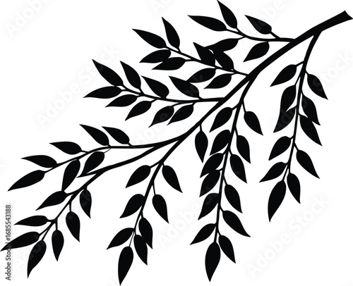 Willow Branch Silhouette | Willow Tree Branch Vector
