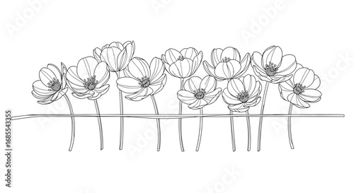 A delicate line of elegant orchids blooms create a beautiful floral arrangement
