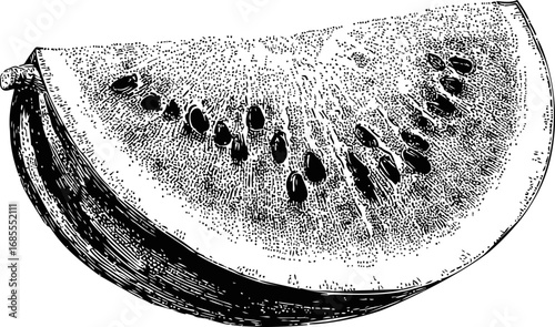 Detailed black and white illustration of a watermelon slice, engraved style. Vector illustration