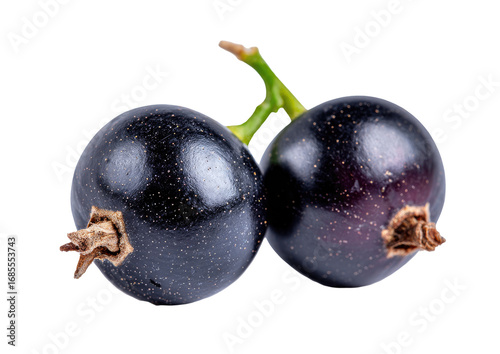 Close-up of two dark purple blackcurrants (1)