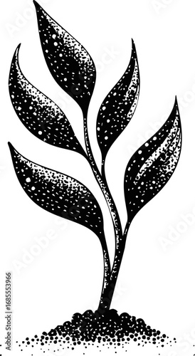 Stylized black and white illustration of a plant with leaves and soil. Vector illustration