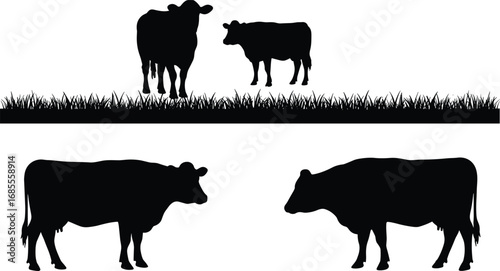 Vector illustration of cow and calf silhouettes grazing in grass field, farm livestock design, rural agriculture countryside animal graphic for farming concept