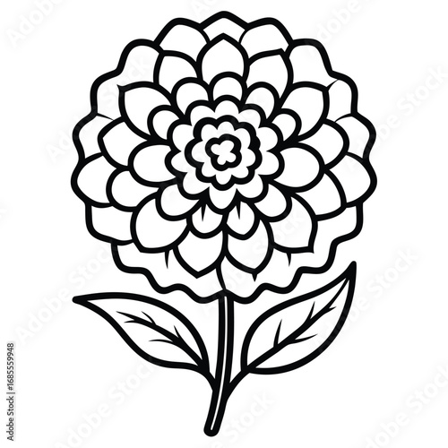 marigold flower outline icon