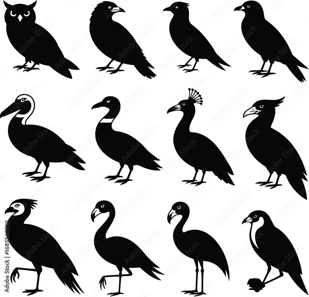 Naklejka premium Bird Silhouettes Collection Diverse Species On White Background vector illustration