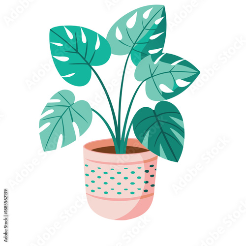 Small new houseplant with green leaves growing in a flowerpot
