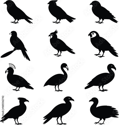 Diverse Bird Silhouettes Collection birds illustration