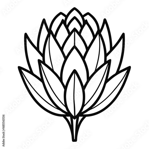 protea flower outline icon