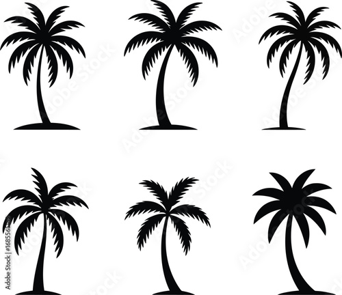 Six Black Silhouette Palm Trees on White Background tropical nature