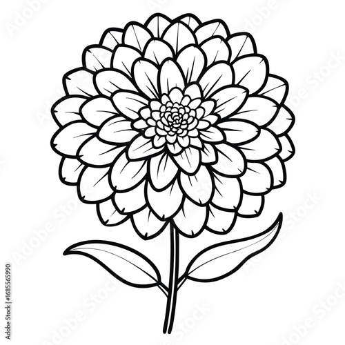 zinnia flower outline icon
