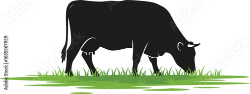 Cow grazing on green grass, livestock animal silhouette vector illustration, dairy farm cattle, rural agriculture, domestic animal design, farming landscape concept