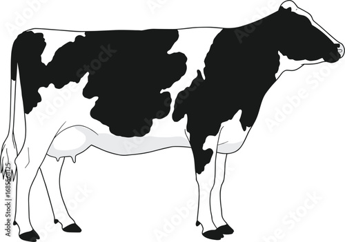 Black and white cow silhouette vector illustration, dairy cattle design, farm animal artwork, agriculture, milk production, livestock, farming, rural lifestyle graphic