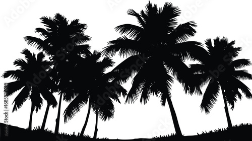 
A simple yet evocative silhouette of a cluster of palm trees.