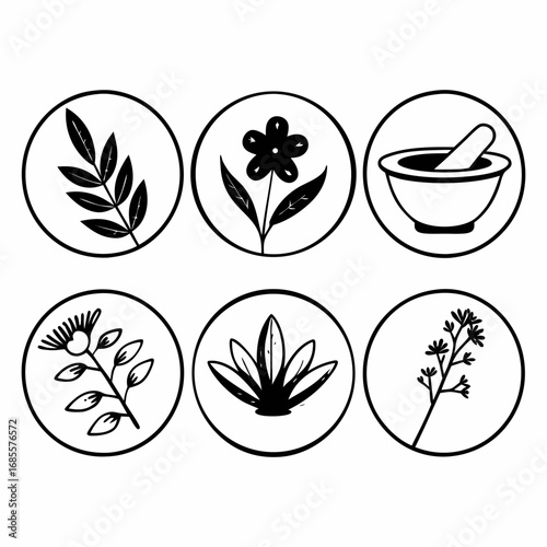 Botanical icons of herbs, plants, and flowers for natural and organic products