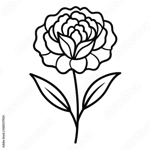  carnation flower outline icon