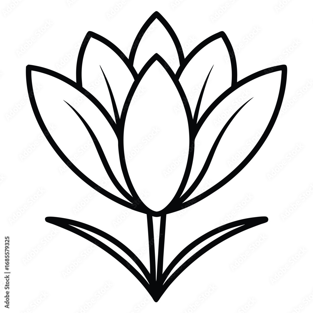 Obraz premium crocus flower outline icon
