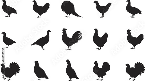Collection of poultry bird silhouettes including chickens, roosters, turkeys, and pigeons, isolated on white background, perfect for farm animal designs