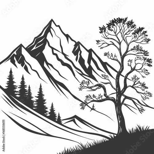 trees in the forest